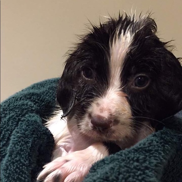 Meet your Posher, Michaela - Picture 12 of 12